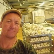 ���������� ��������, ���� ������� ����, 42 ����, ������������ ��� ������, ����� � ���������