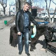  ,   , 44 ,   ,   , c 