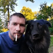  ,  , 43