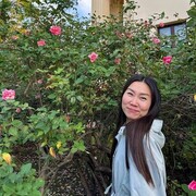 ���������� ��������, �����