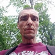  ,  , 44