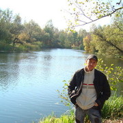  Gibbon,  , 41