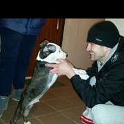 ���������� �����������, ���� ������� ���������, 39 ���, ������������ ��� ������, ����� � ���������