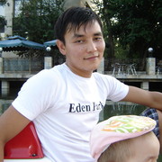 ���������� ��������, ���� ������� Alim, 40 ���, ������������ ��� ������, ����� � ���������, c�������� ���������