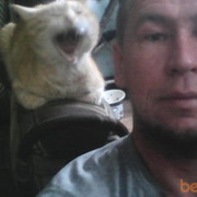  ,   Alchin, 55 ,     , c 