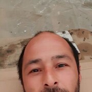 ���������� ���������, ���� ������� �������, 43 ����, ������������ ��� ������, ����� � ���������, c�������� ���������, ���������