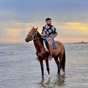  -,   Selim, 24 ,   ,   