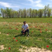 ���������� �������, ���� ������� ����, 42 ����, ������������ 