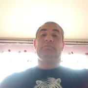   ,  , 41