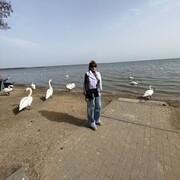  ,   , 60 ,   ,   , c 