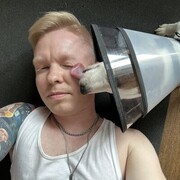 ���������� ������, ���� ������� ���������, 28 ���, ������������ ��� ������, ����� � ���������