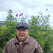  ,   , 71 ,   ,   