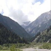 ���������� ����, ���� ������� �����, 44 ����, ������������ ��� ������, ����� � ���������, c�������� ���������, ���������