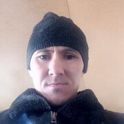  ,   Alimardon, 36 ,     , c 