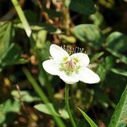 ���������� ������������, ���� ������� Nik, 53 ����, ������������ ��� ������, ���������