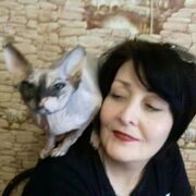 ���������� ������, ���� ������� �������, 54 ����, ������������ ��� c�������� ���������