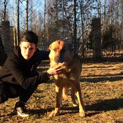 ���������� �����-���������, ���� ������� ������, 27 ���, ������������ ��� ������, ����� � ���������