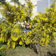  ,   , 45 ,   ,   , c , 