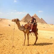 ���������� ���������, ���� ������� ������, 37 ���, ������������ ��� ������, ����� � ���������, c�������� ���������, ���������