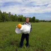   ,   , 59 ,   ,   