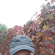  ,   , 46 ,     , c 