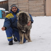 ���������� �����, ���� ������� �������, 57 ���, ������������ ��� ������, ����� � ���������, c�������� ���������