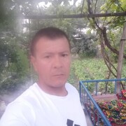  -,   , 37 ,  