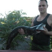 ���������� �����, ���� ������� ������, 38 ���, ������������ ��� ����� � ���������, c�������� ���������