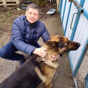 ���������� ����������, ���� ������� �����, 43 ����, ������������ ��� c�������� ���������, ���������