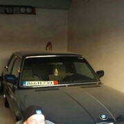 ���������� �����������, ���� ������� ������, 44 ����, ������������ ��� ������, ����� � ���������, c�������� ���������