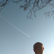 ������ ?