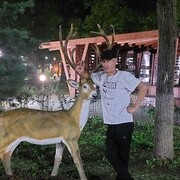  ,   , 36 ,   ,   