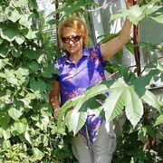 ���������� ����������, ���� ������� ������, 65 ���, ������������ ��� c�������� ���������