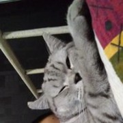  ,   , 35 ,   ,   , c , 