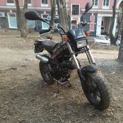 ���������� ���������, ���� ������� �������, 36 ���, ������������ ��� c�������� ���������