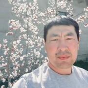  ,  , 43