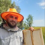  ,  Vadim, 29