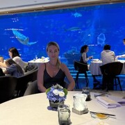 ���������� �����, ���� ������� �������, 40 ���, ������������ ��� ������, ����� � ���������, ���������