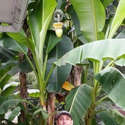 ���������� �����������, ���� ������� ������, 52 ����, ������������ ��� ������, ����� � ���������, c�������� ���������