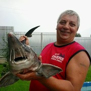 ����� ������� ���������