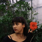  -,   , 20 ,   , 