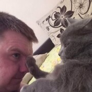 ���������� �����, ���� ������� �������, 38 ���, ������������ ��� ����� � ���������, c�������� ���������