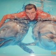 ���������� �����, ���� ������� �����, 43 ����, ������������ ��� ������