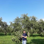  ,   , 49 ,   ,   , c 