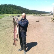 ���������� ���������, ���� ������� �������, 50 ���, ������������ ��� ������