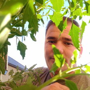  ,   , 32 ,   ,   