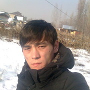 ���������� ������, ���� ������� Chingis, 36 ���, ������������ ��� ������, ����� � ���������, c�������� ���������