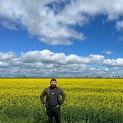 ���������� ������-��-����, ���� ������� ������, 30 ���, ������������ ��� ������, ����� � ���������, c�������� ���������