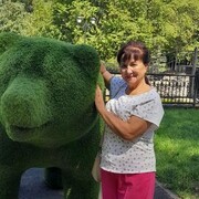 ���������� ���, ���� ������� ����, 66 ���, ������������ ��� ������, ����� � ���������, c�������� ���������, ���������