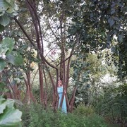 ���������� ����, ���� ������� Olga, 41 ���, ������������ ��� ������, ����� � ���������, c�������� ���������